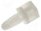 ESSENTRA RI-TCBS-8-01