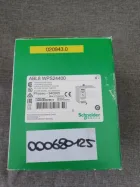 SCHNEIDER WPS24400