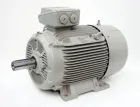 ELEKTRA 1CV3184B 1TZ95031EB434AB4-Z