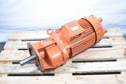 BAUER DPF4A42 3VZ/381