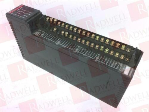 IC655MDL581