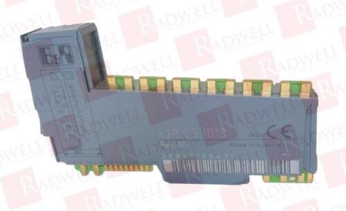 X20CS1013