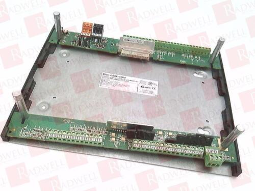 MNB-BASE-1000