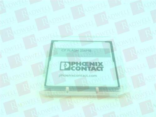 CF FLASH 256MB