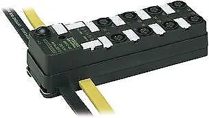 55616