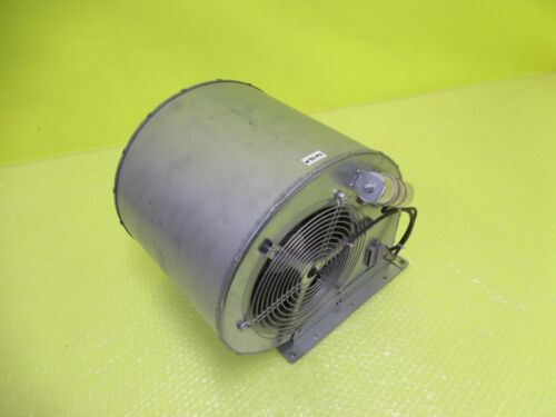 D4E225-CC01-39