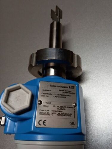 Liquiphant M FTL51H